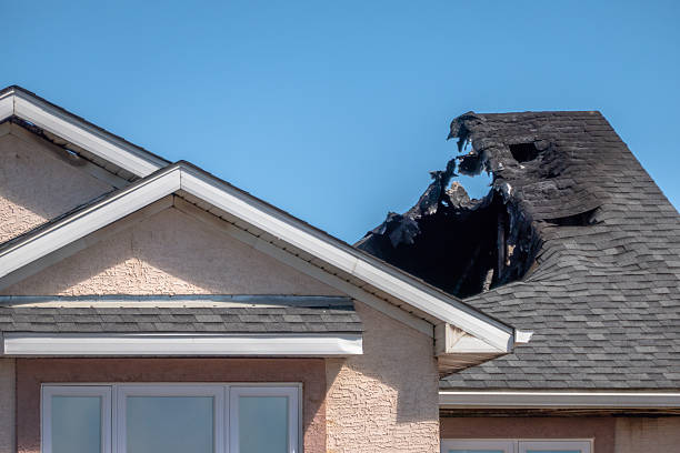 Licensed Content Restoration service in Bordentown, NJ - Fire Damage Biloxi